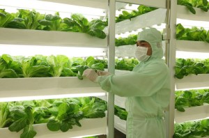cleanroom_farm_plant_factory