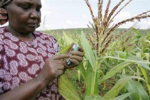 kenyan farmer