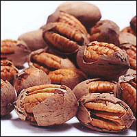 Pecans_cracked