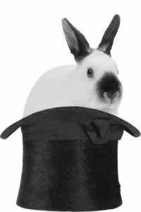 rabbit in magician hat