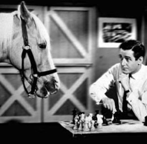 mister-ed-chess