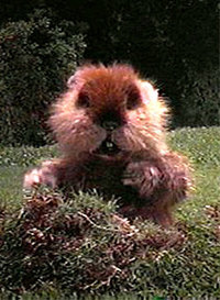 caddyshack gopher