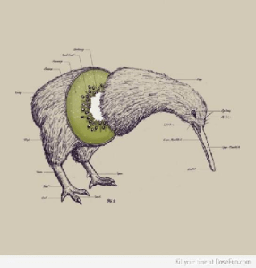 kiwi